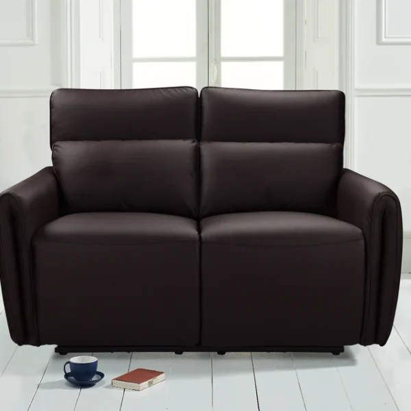 Recliner Sofa (2-Seater)